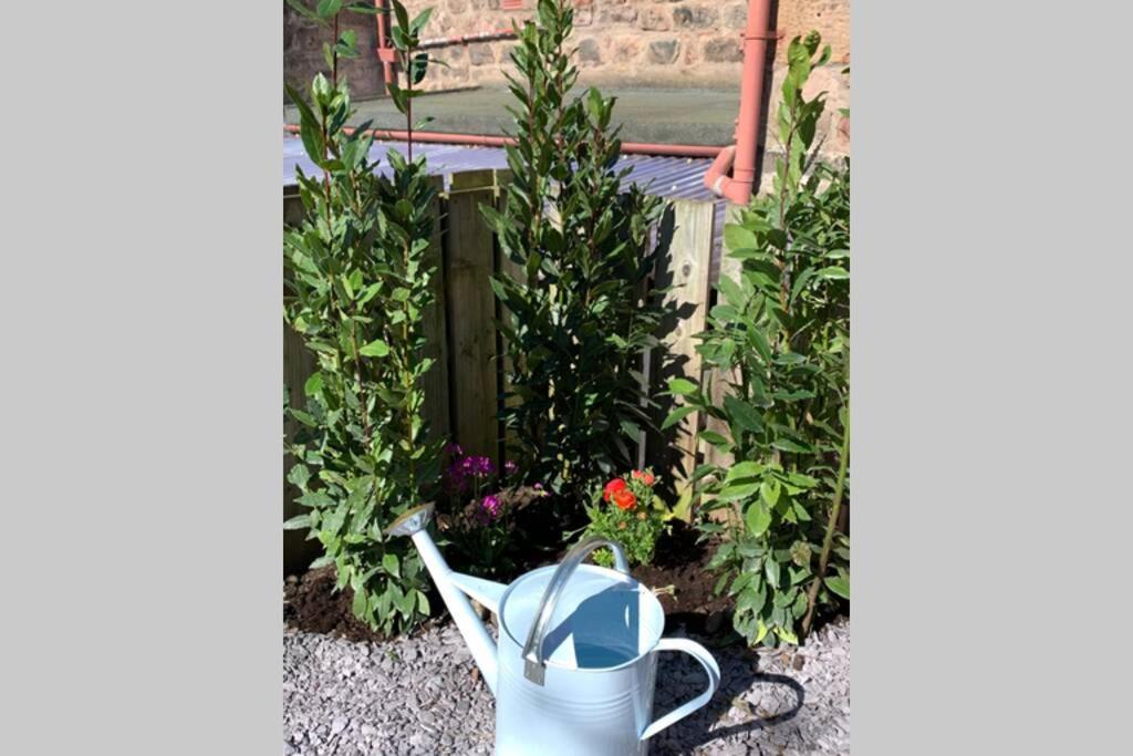 The Nook - A Stylish Apartment With Garden, Near The Beach Berwick Upon Tweed ภายนอก รูปภาพ